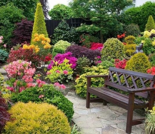 Plantas de exterior decorar con plantas de exterior