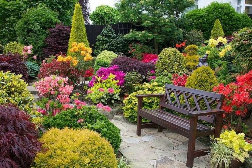 Plantas de exterior