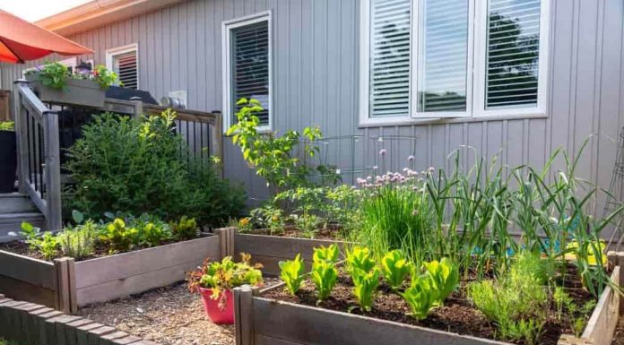 Huertos caseros decorar con huertos caseros