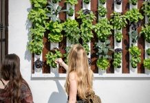 Jardines verticales decorar con jardines verticales