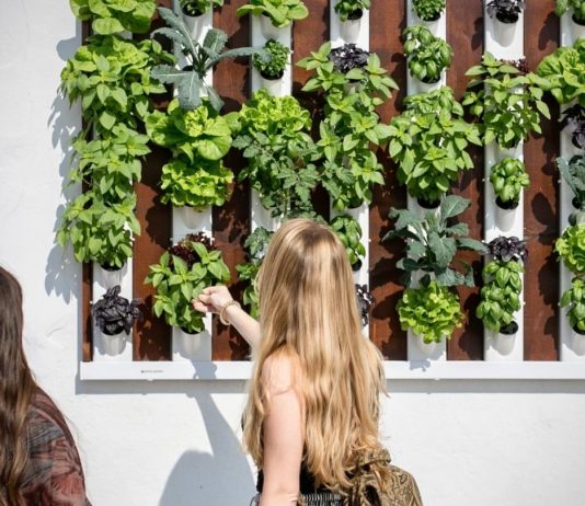 Jardines verticales decorar con jardines verticales