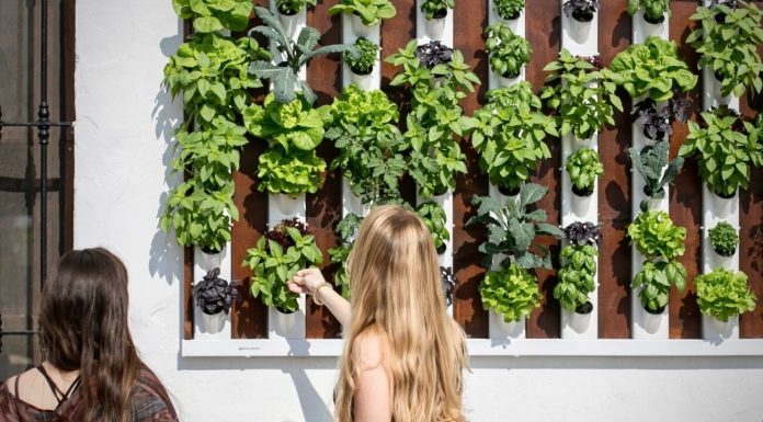 Jardines verticales decorar con jardines verticales