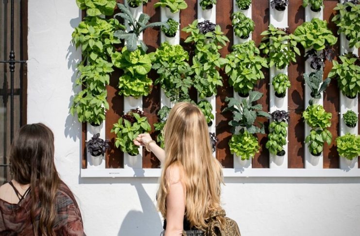 decorar con jardines verticales