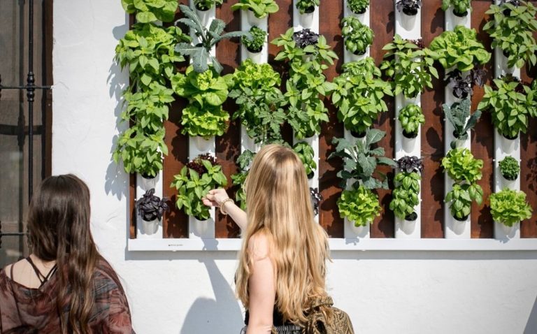 decorar con jardines verticales