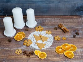 Como hacer naranjas deshidratadas para navidad