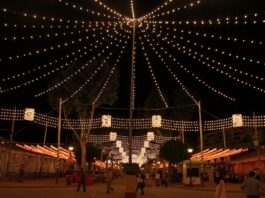 Todo sobre la guirnalda de luces