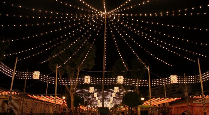 La magia de la guirnalda de luces Todo sobre la guirnalda de luces