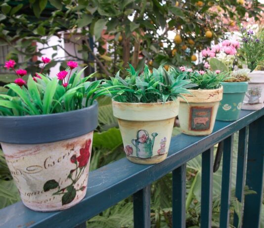 Todo sobre las macetas: Guia para el cultivo de plantas Todo sobre las macetas