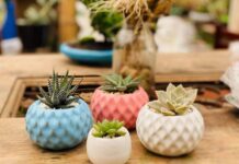 Materas de cemento: Elegancia y durabilidad para tu dogar Todo sobre las materas