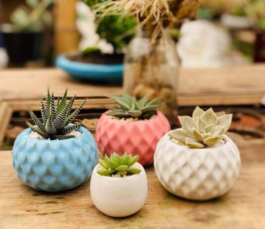 Materas de cemento: Elegancia y durabilidad para tu dogar Todo sobre las materas