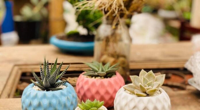 Materas de cemento: Elegancia y durabilidad para tu dogar Todo sobre las materas